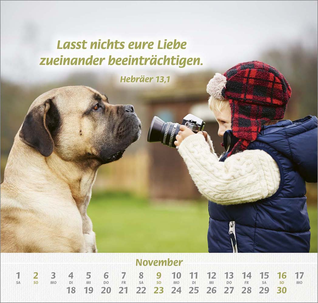 Ich hab dich gern 2025 - Wandkalender