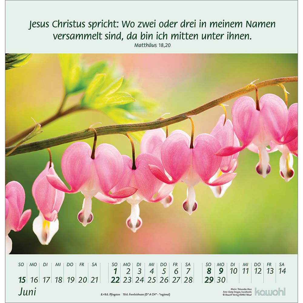 Blumengrüße 2025 - Wandkalender