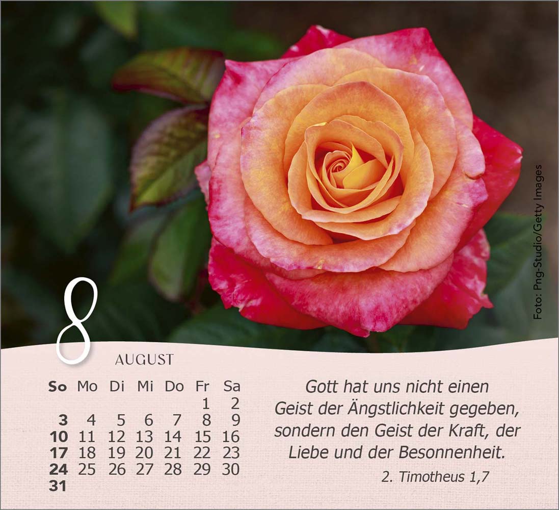 Rosen 2025 - Tischkalender