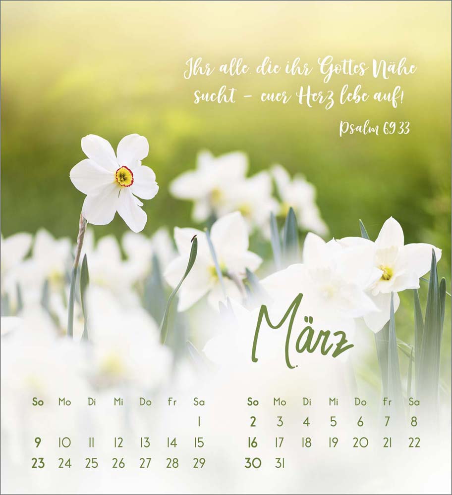 Zarte Blumengrüße 2025 - Tischkalender