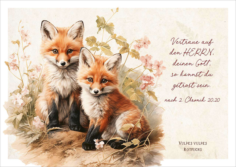 Postkarte "Füchse"