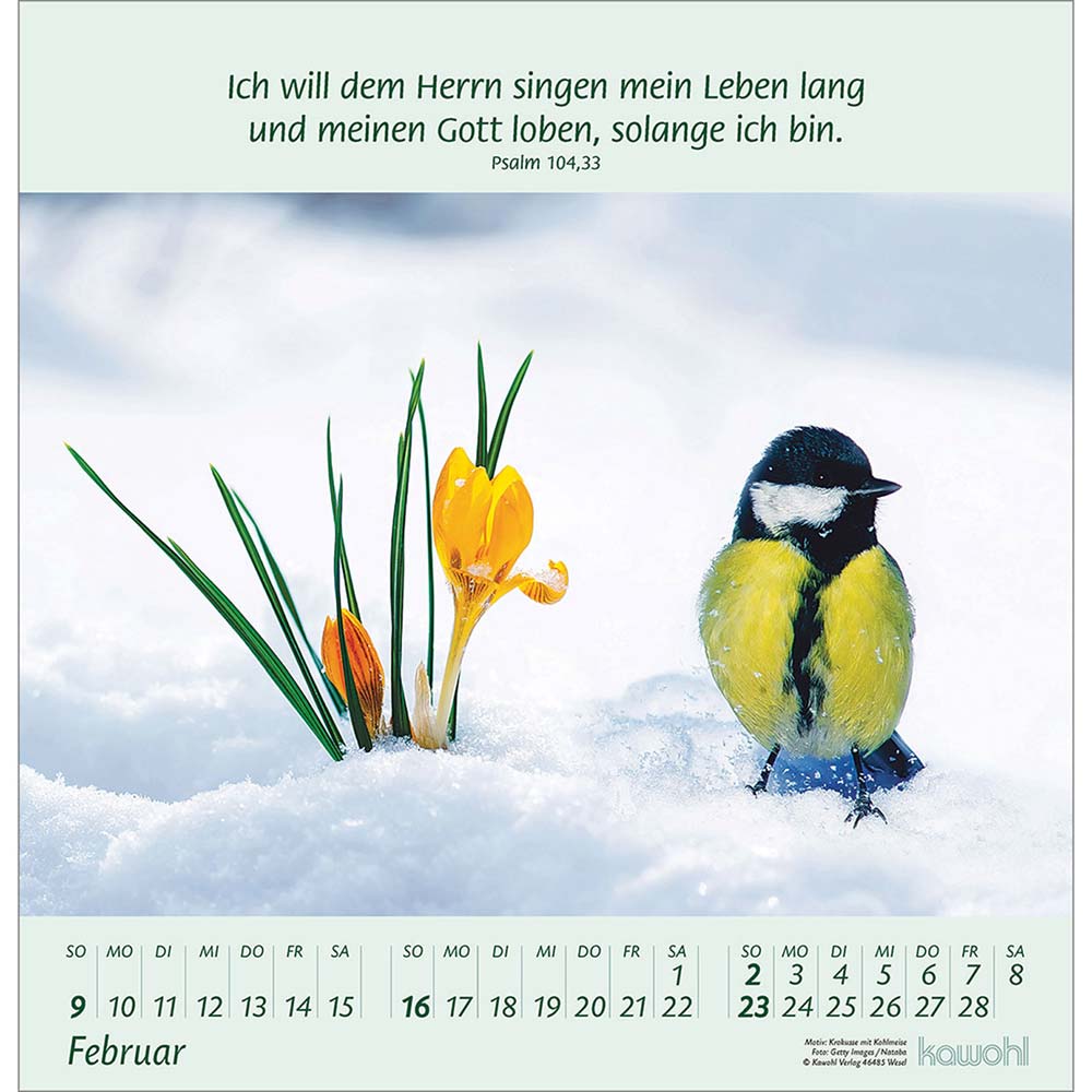 Blumengrüße 2025 - Wandkalender