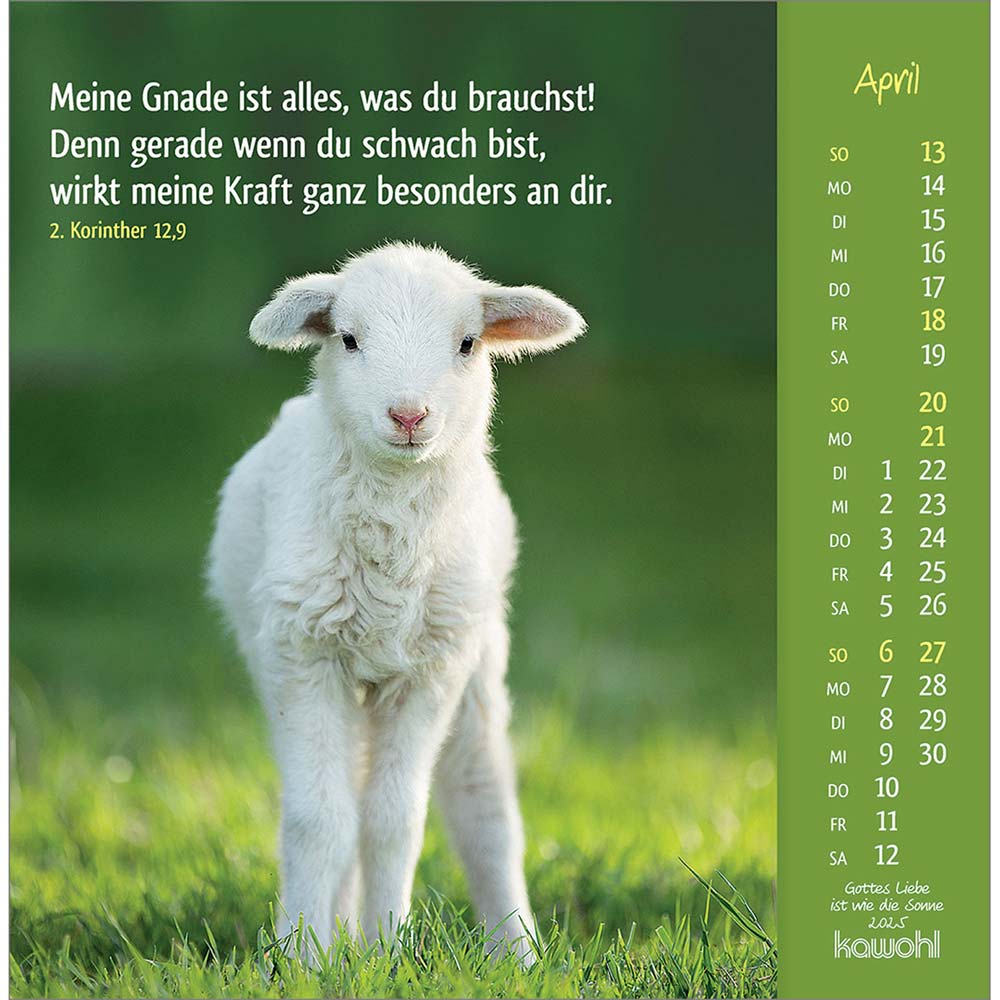 Gottes Liebe ist wie die Sonne 2025 - Postkartenkalender