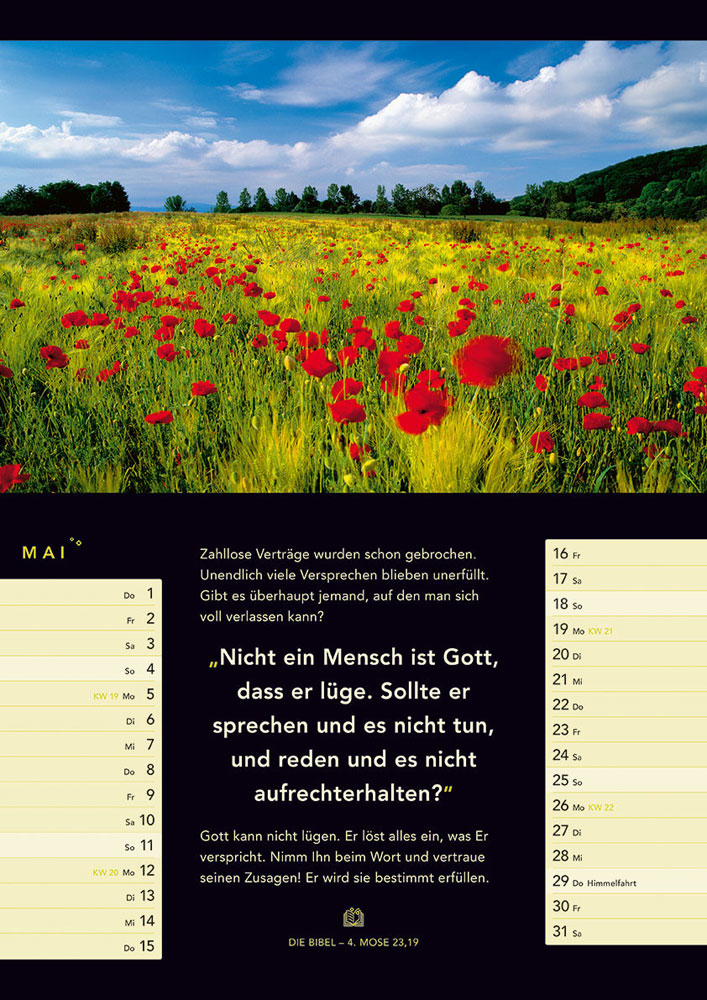 Licht zum Leben 2025