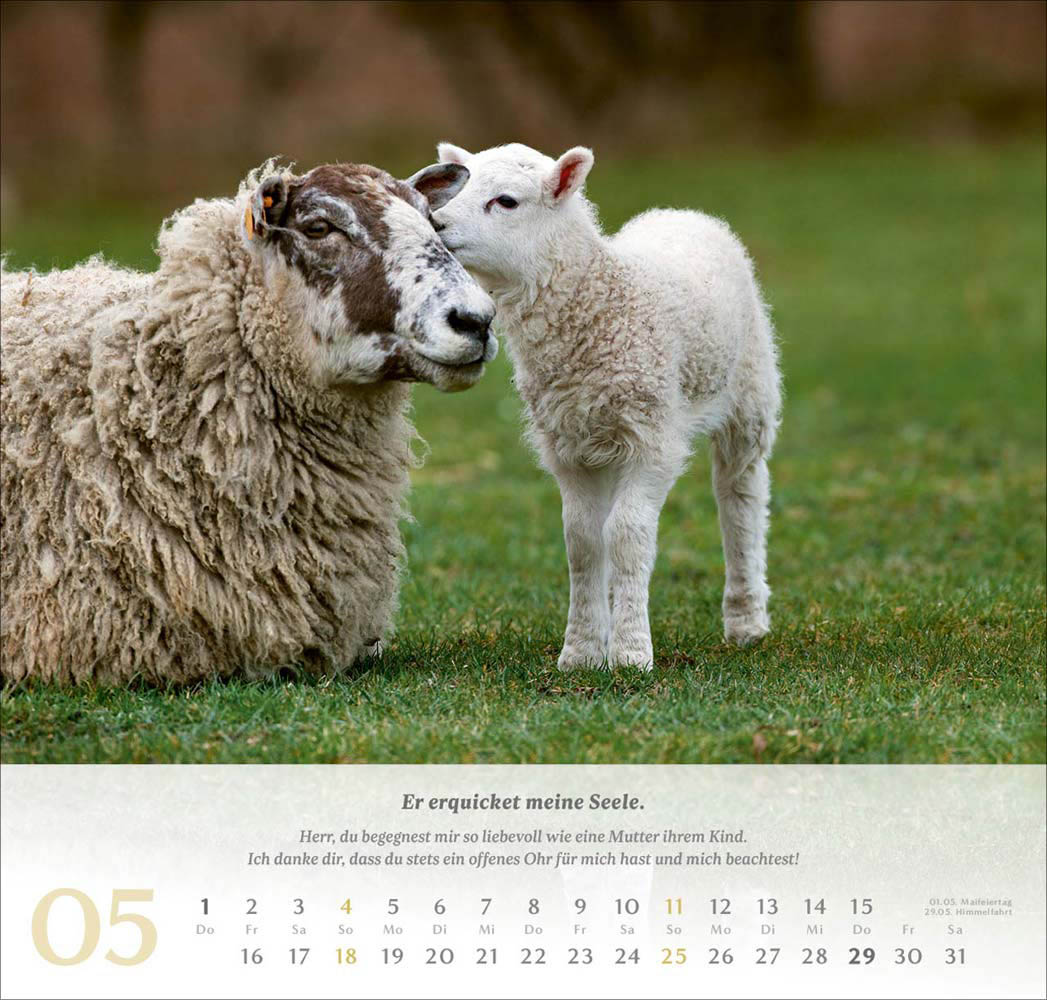 Psalm 23 - Wandkalender 2025