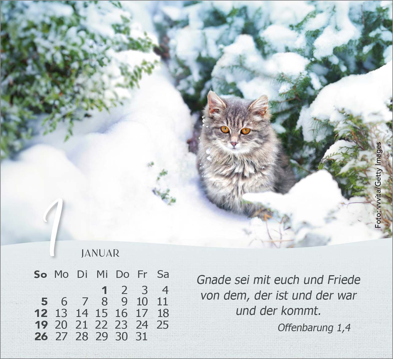 Katzen 2025 - Tischkalender