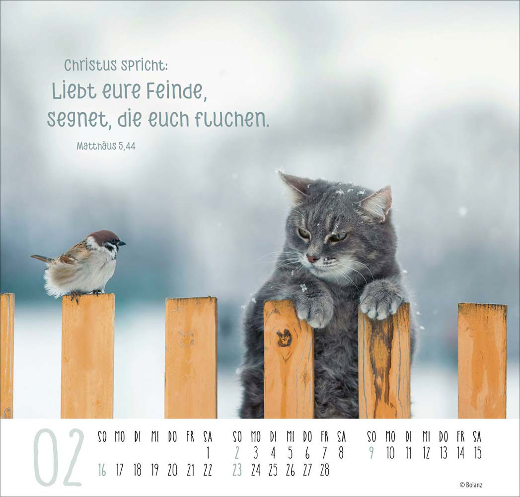 Beste Freunde - Ich mag dich  2025 - Posterkalender