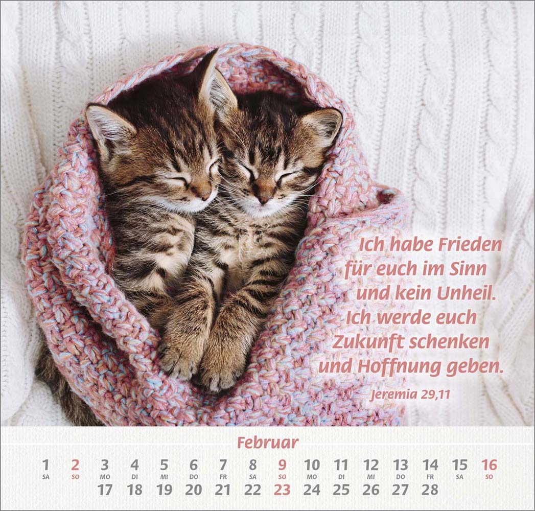 Ich hab dich gern 2025 - Wandkalender