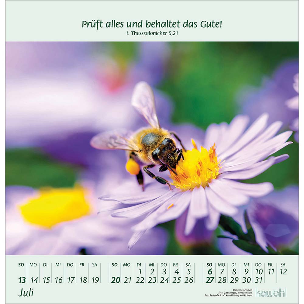 Blumengrüße 2025 - Wandkalender