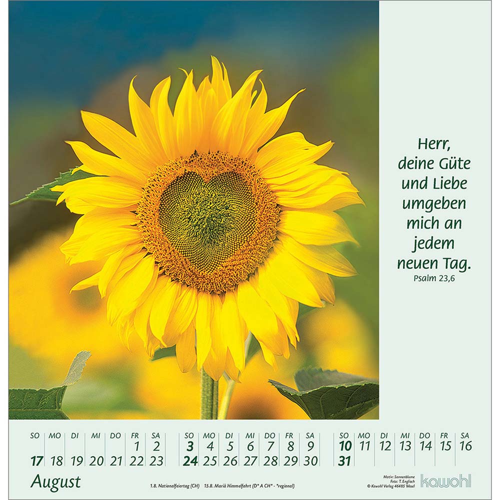 Blumengrüße 2025 - Wandkalender