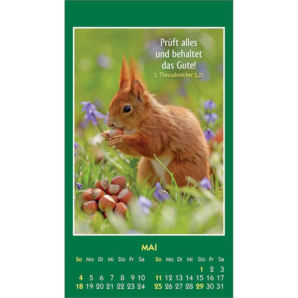 Hallo Du 2025 - Aufkleber-Kalender