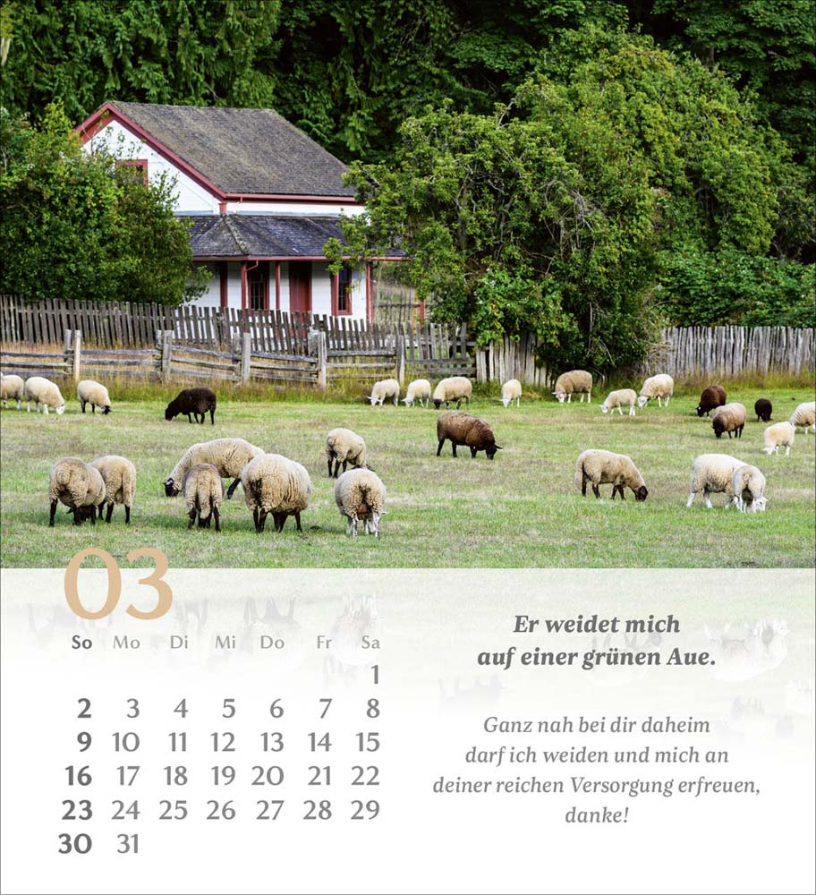 Psalm 23 - Tischkalender 2025