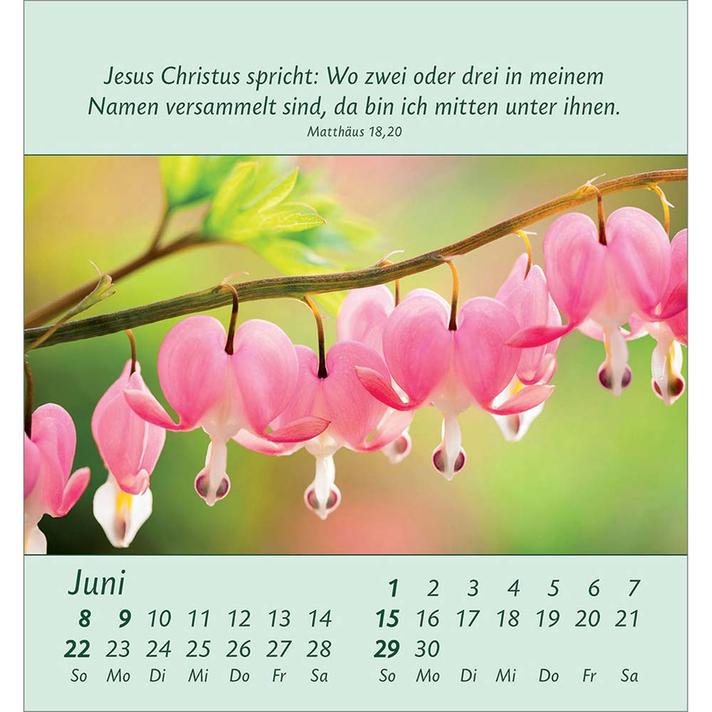 Kleine Blumengrüße 2025 - Aufstellkalender