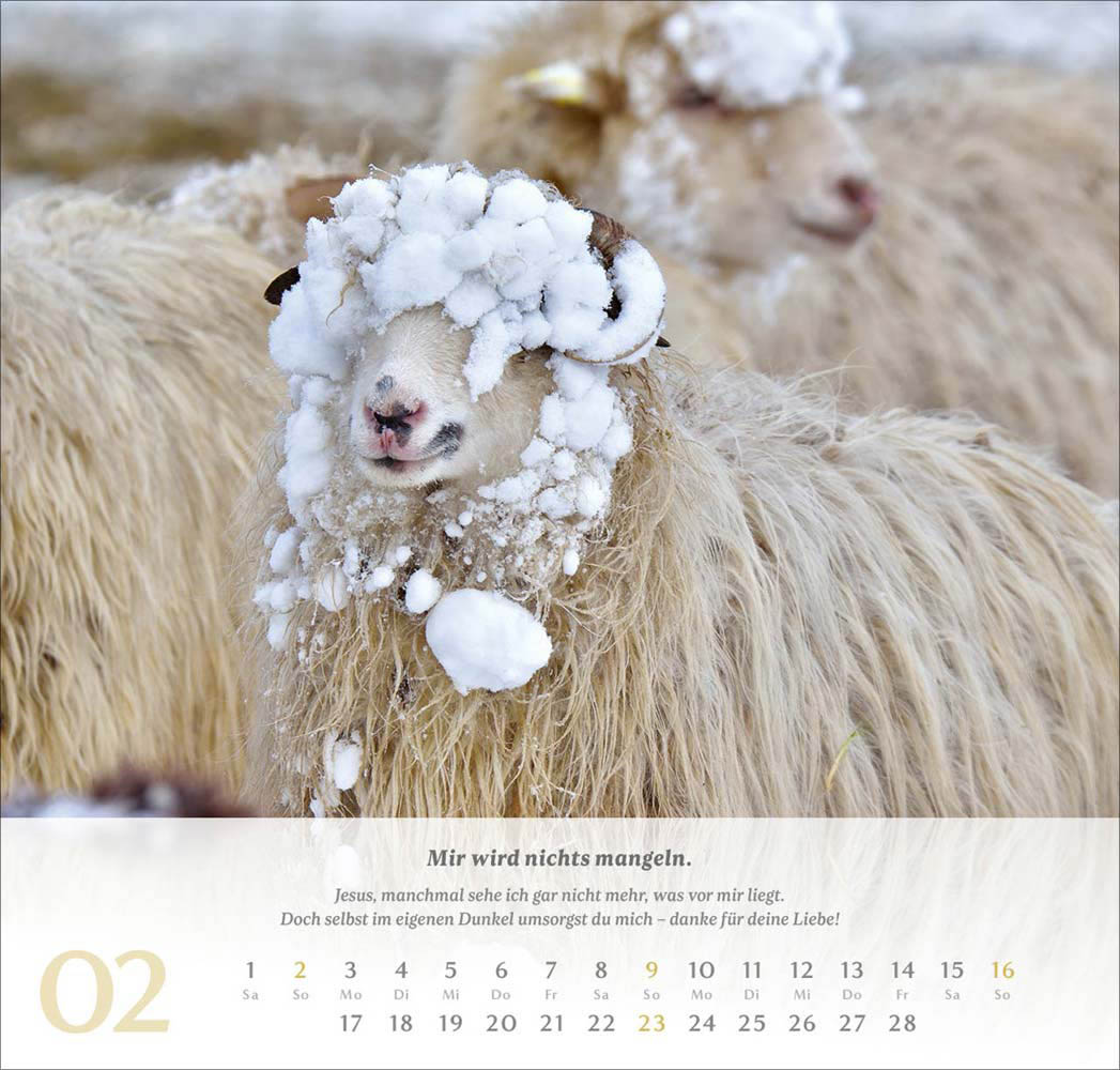 Psalm 23 - Wandkalender 2025