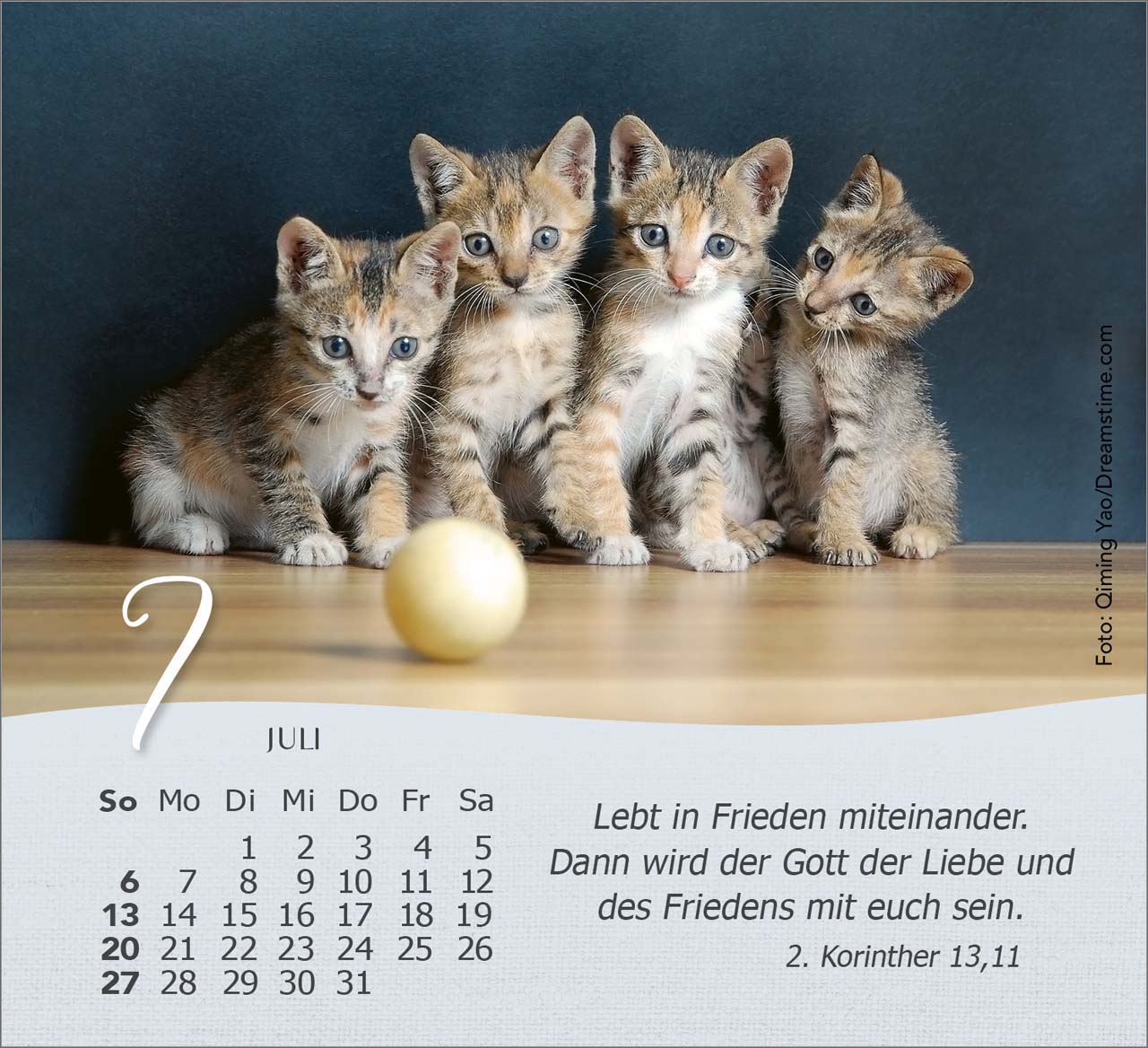 Katzen 2025 - Tischkalender