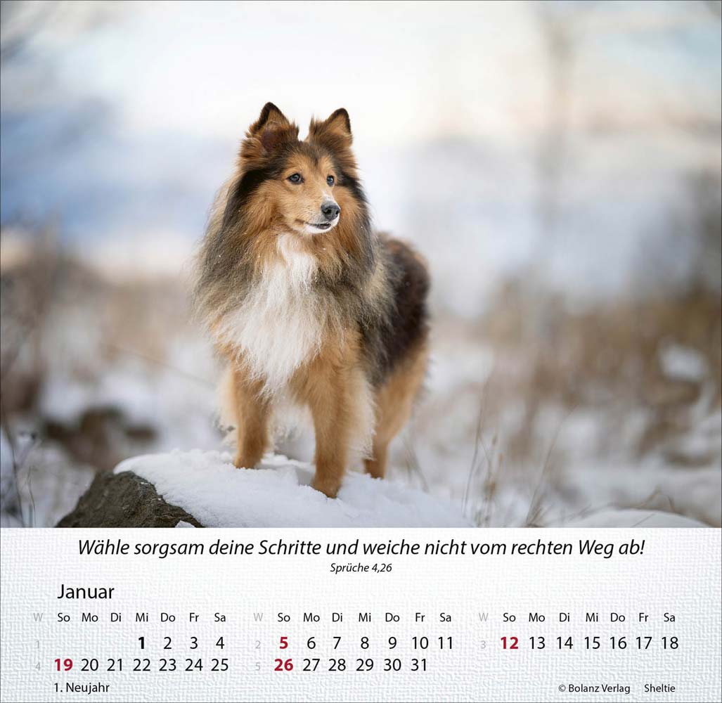 Hunde 2025 - Tischkalender