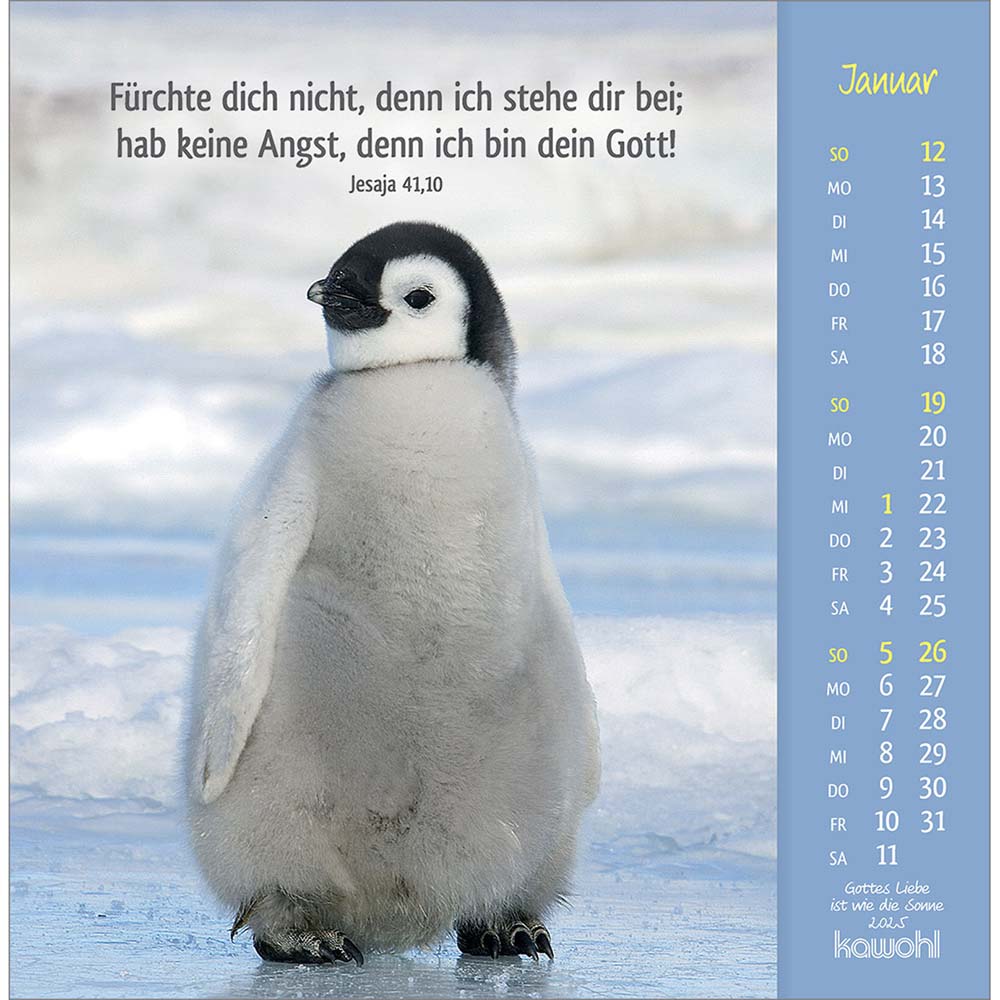 Gottes Liebe ist wie die Sonne 2025 - Postkartenkalender