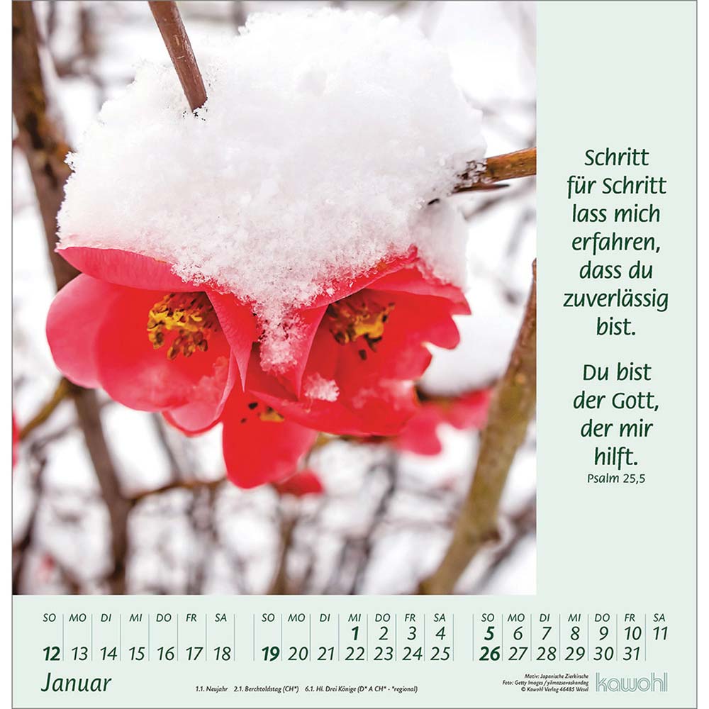 Blumengrüße 2025 - Wandkalender