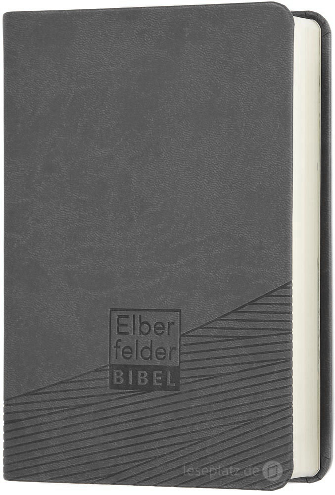 Elberfelder Bibel 2006 Taschenausgabe - Kunstleder grau