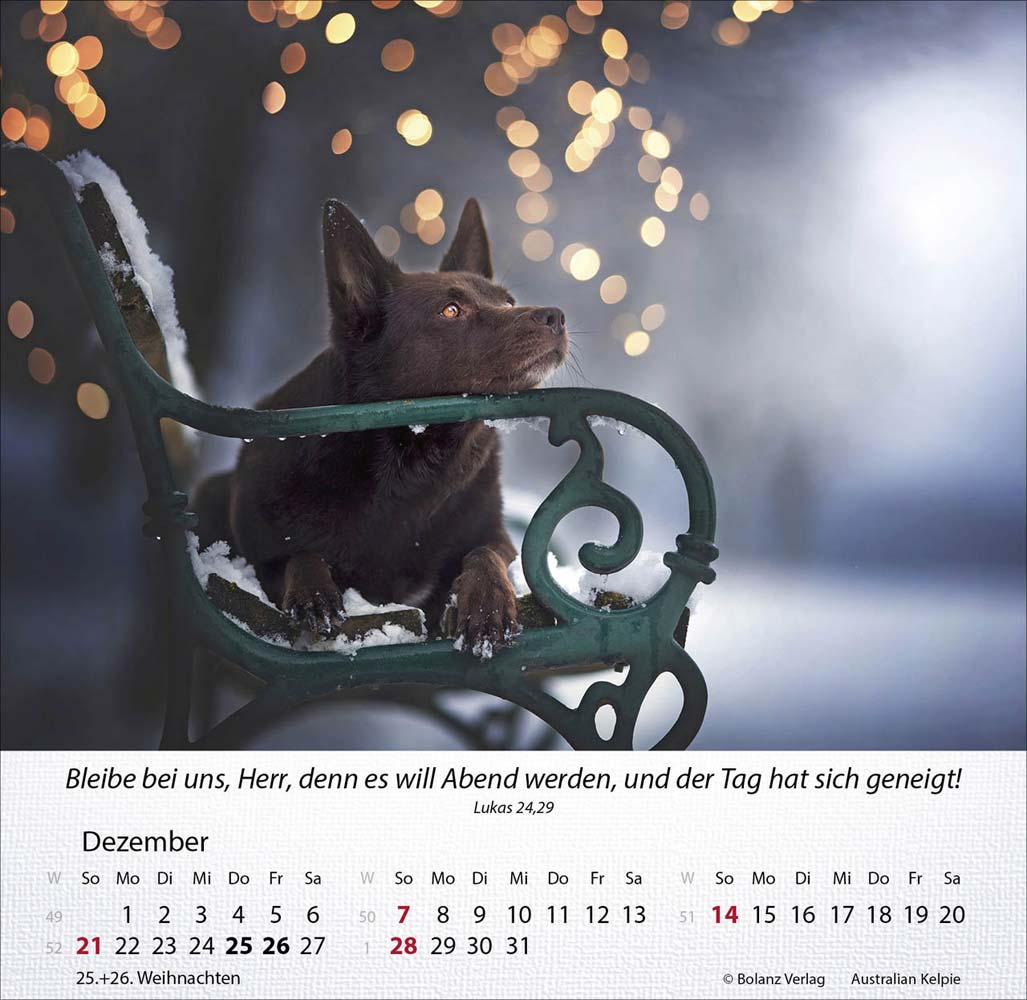 Hunde 2025 - Tischkalender