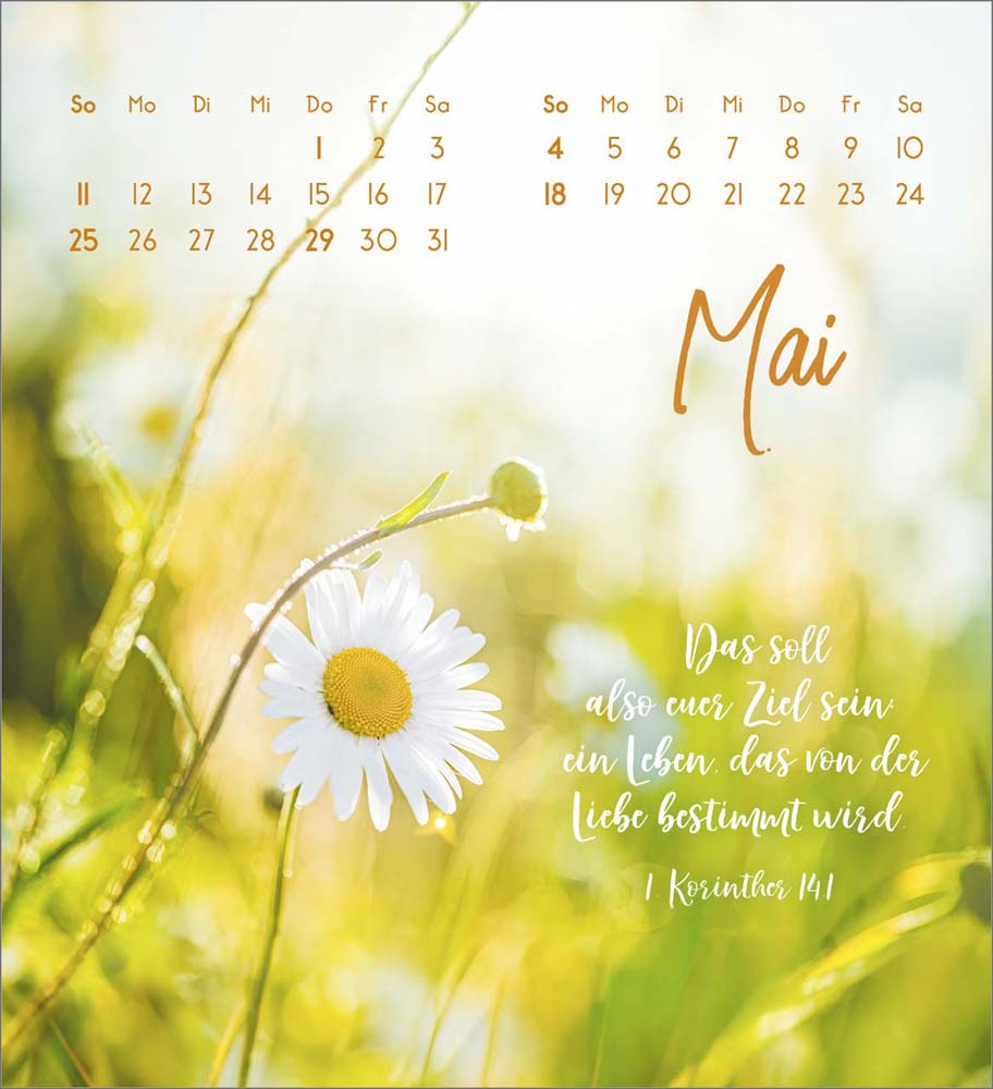 Zarte Blumengrüße 2025 - Tischkalender