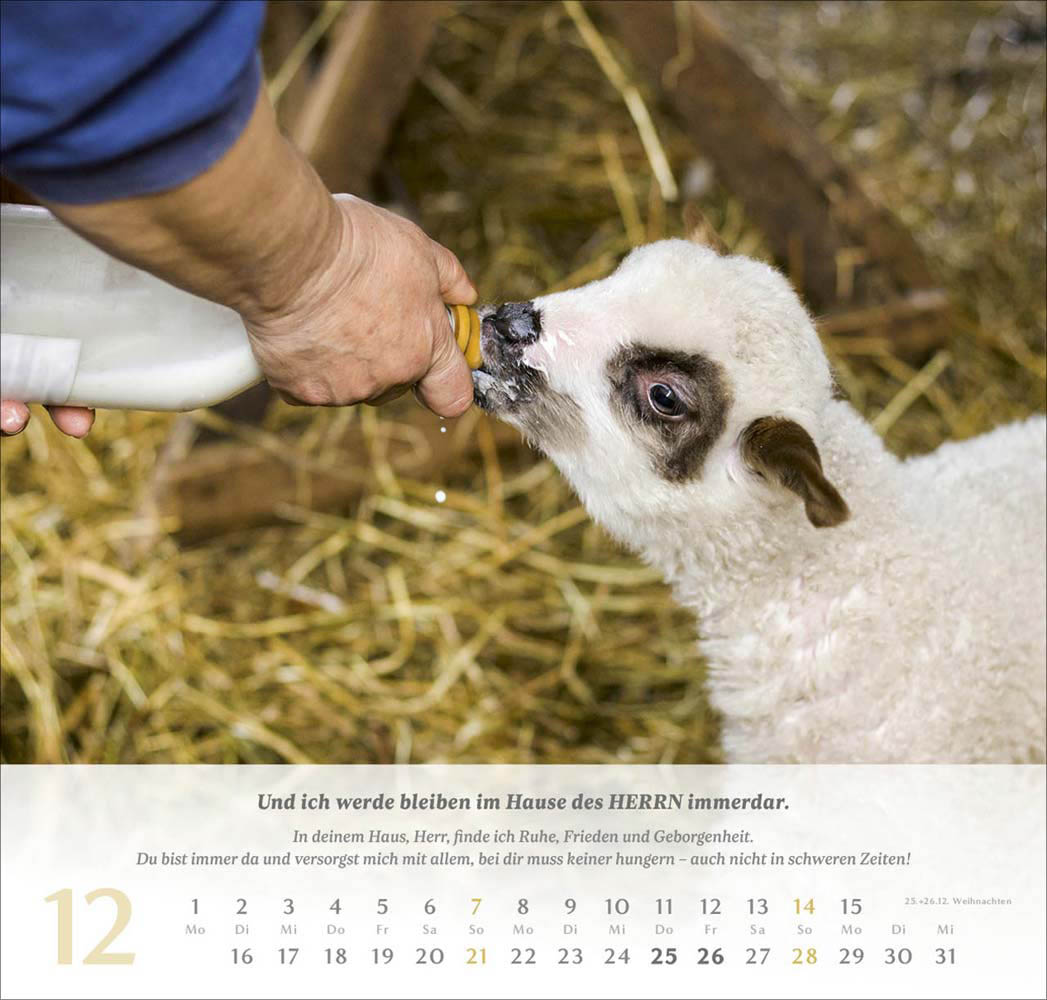 Psalm 23 - Wandkalender 2025