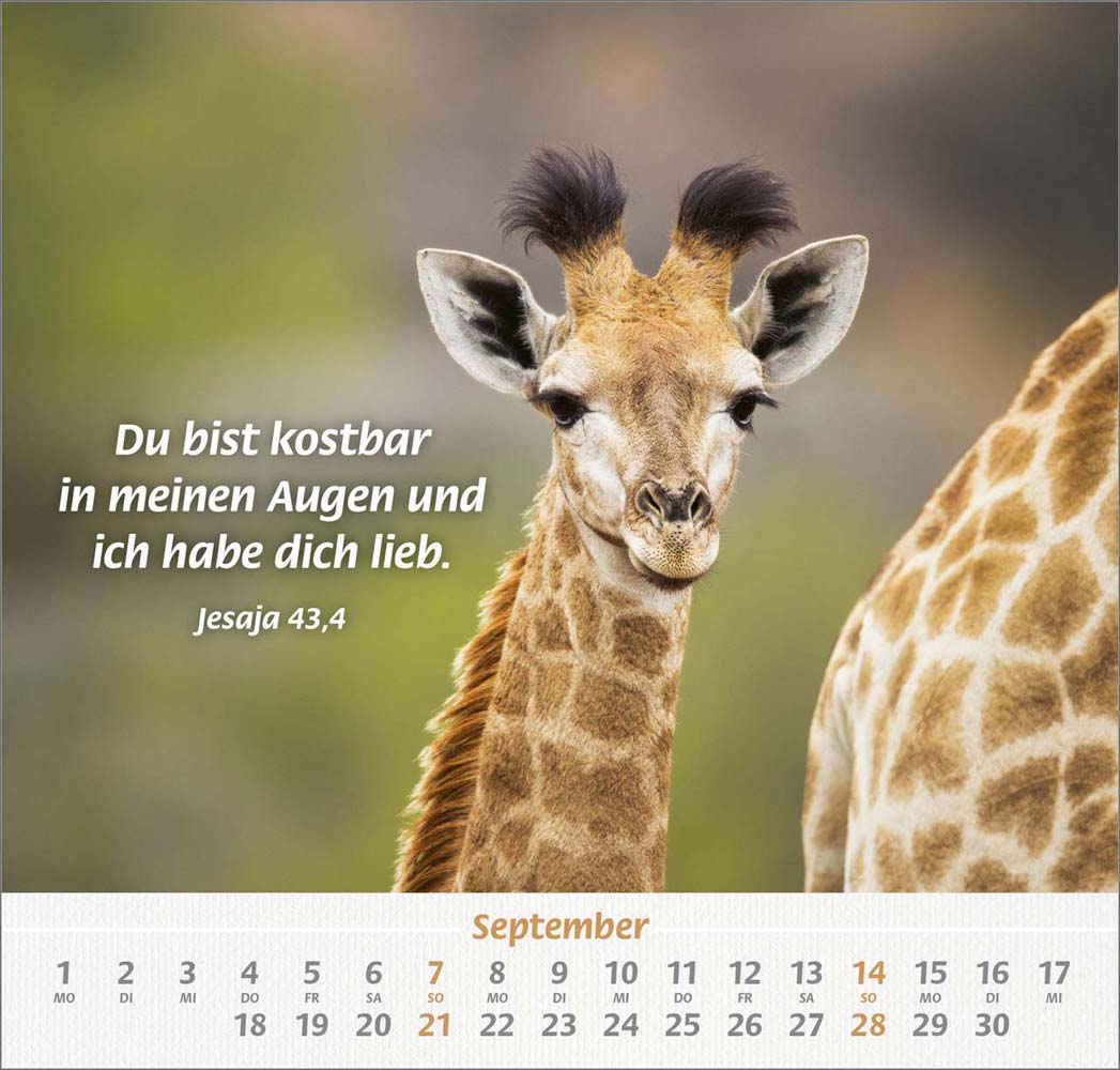 Ich hab dich gern 2025 - Wandkalender