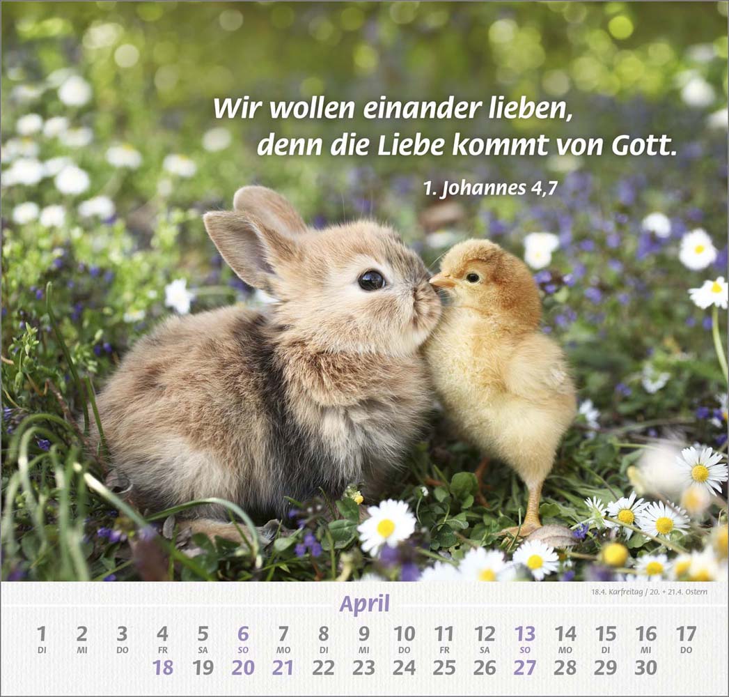 Ich hab dich gern 2025 - Wandkalender