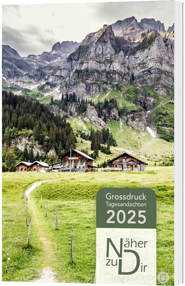 Näher zu Dir 2025 - Buchkalender Großdruck