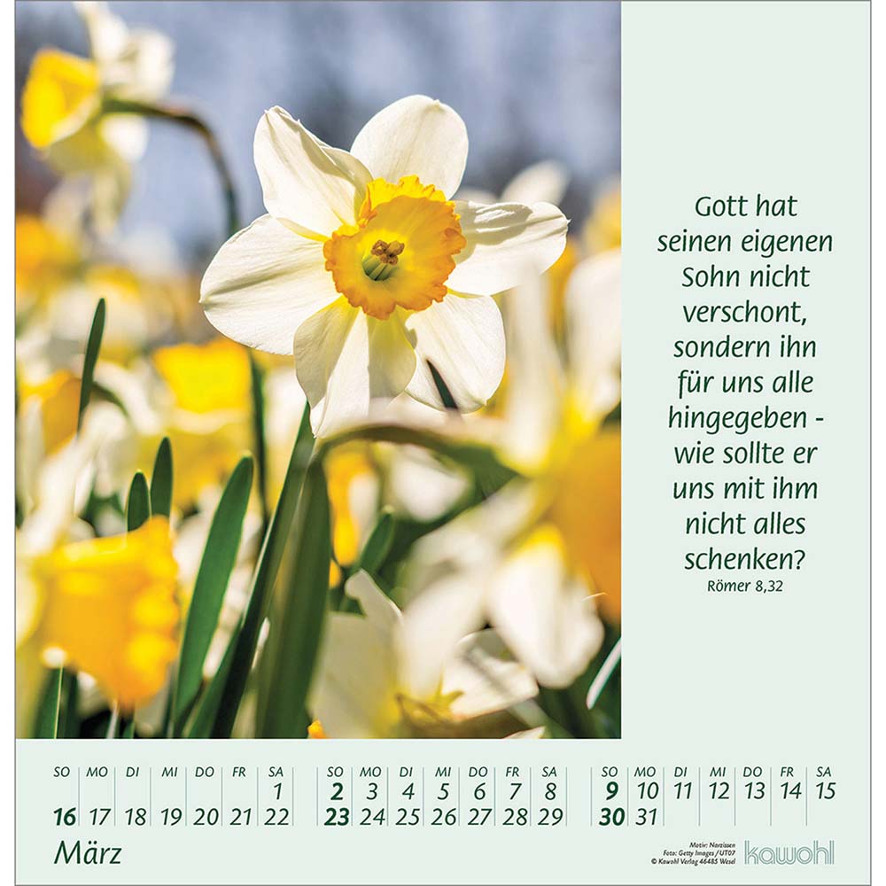 Blumengrüße 2025 - Wandkalender