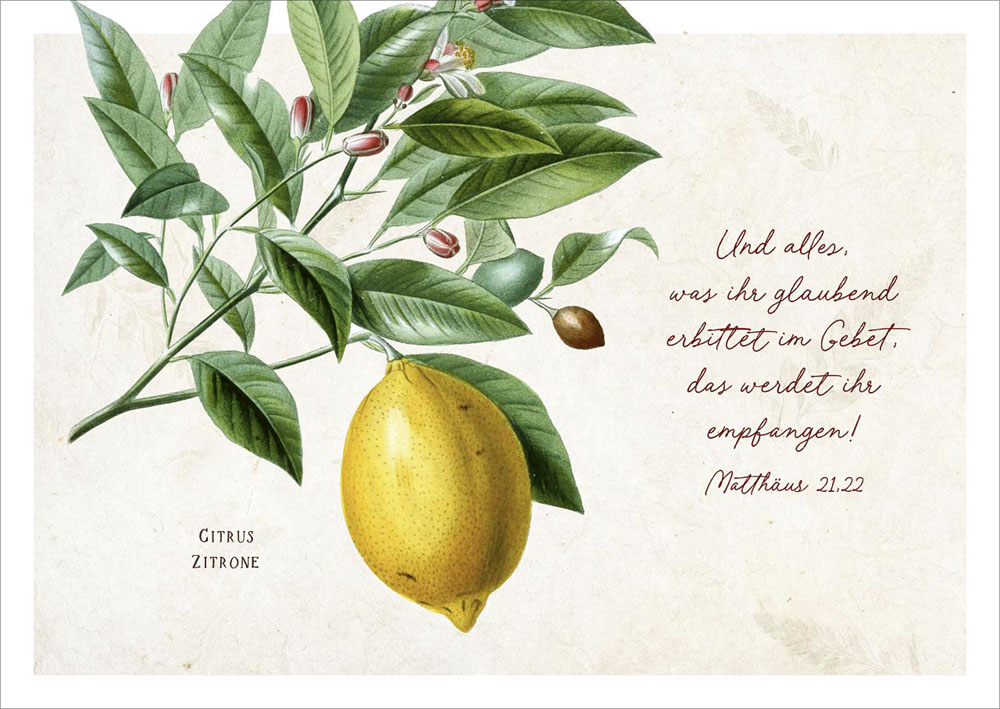 Postkarte "Zitrone"
