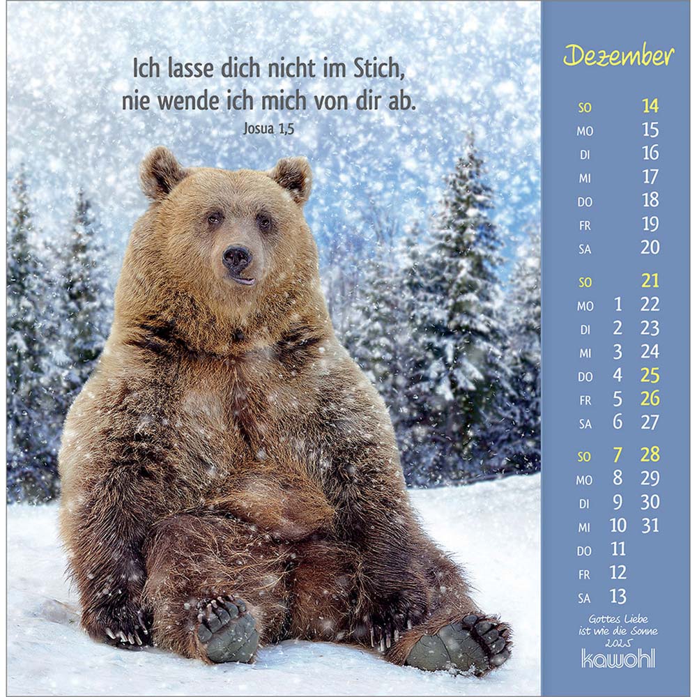 Gottes Liebe ist wie die Sonne 2025 - Postkartenkalender