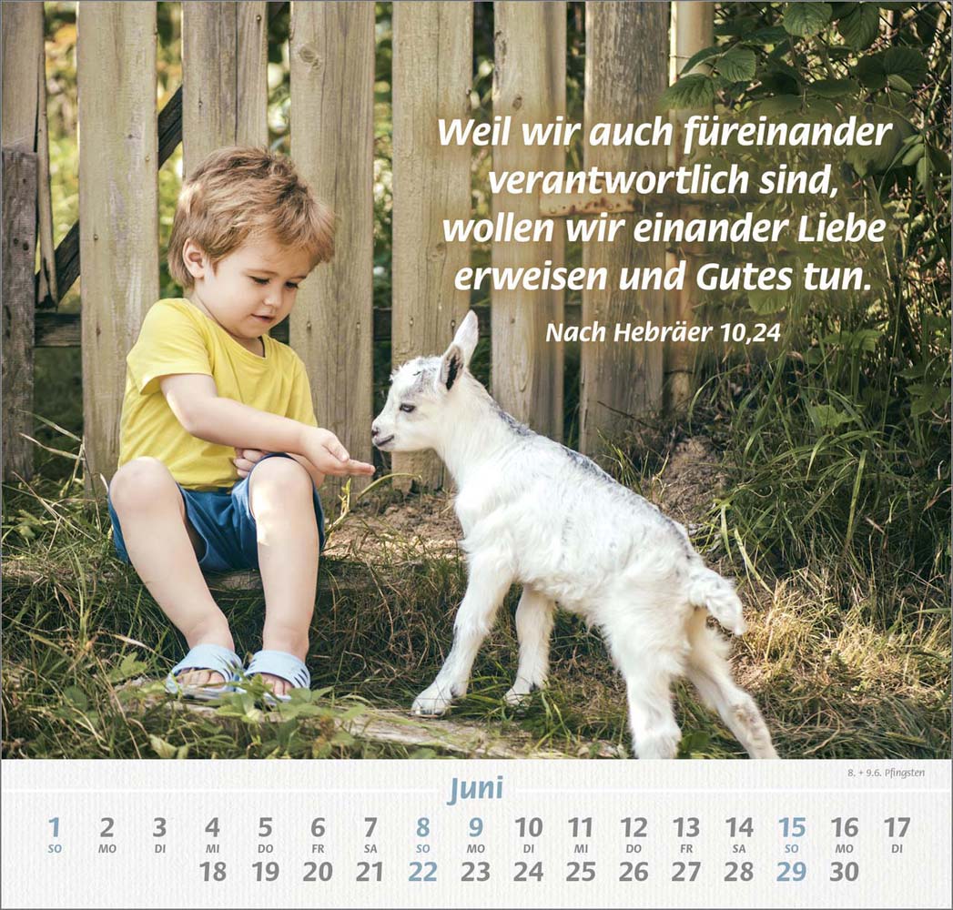 Ich hab dich gern 2025 - Wandkalender