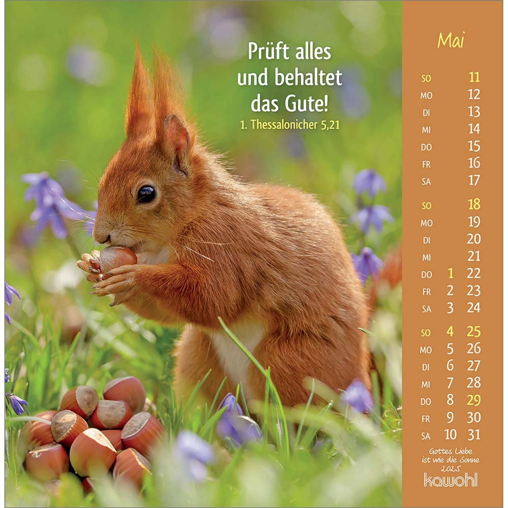 Gottes Liebe ist wie die Sonne 2025 - Postkartenkalender