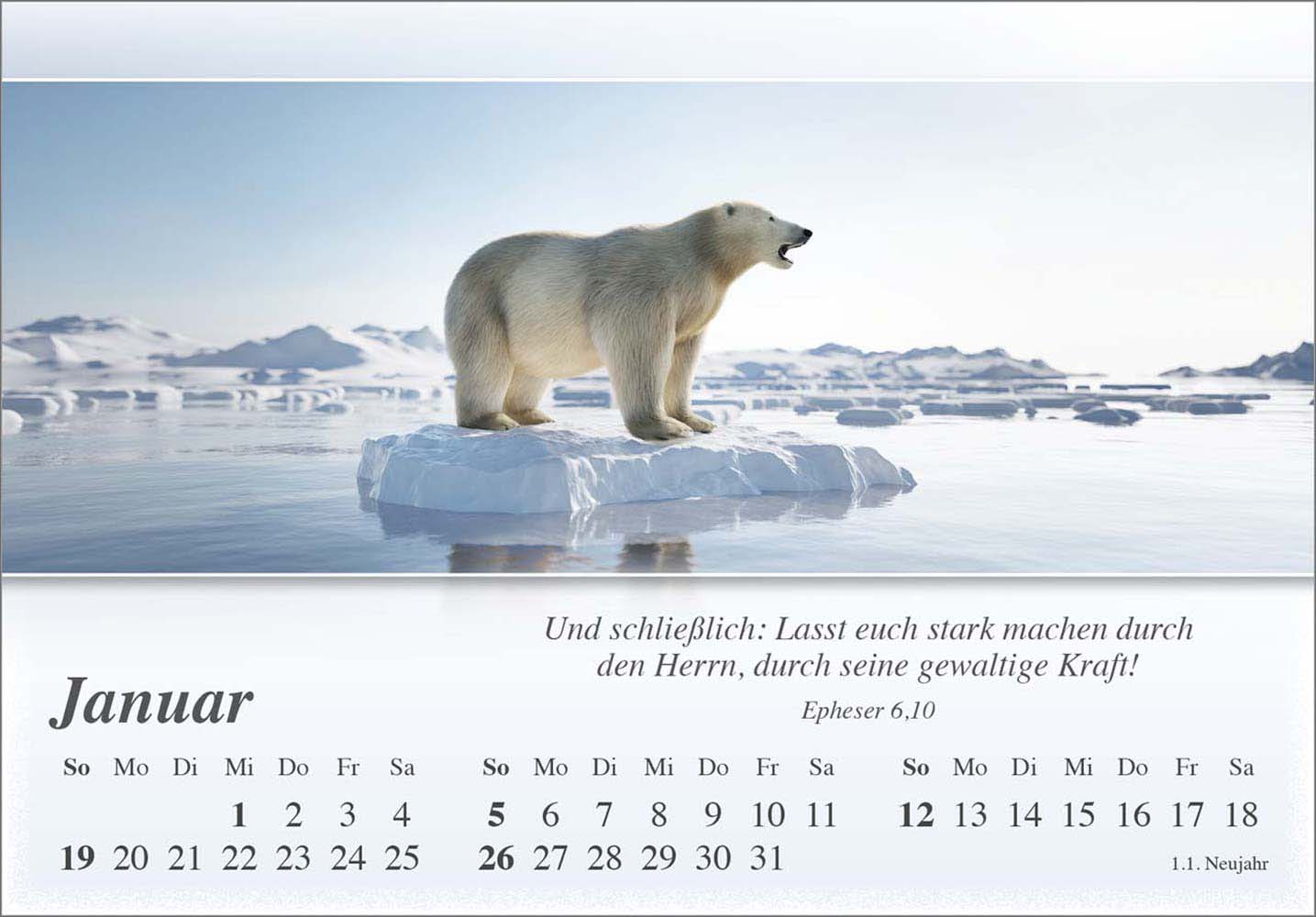 Mini Panorama Kalender 2025