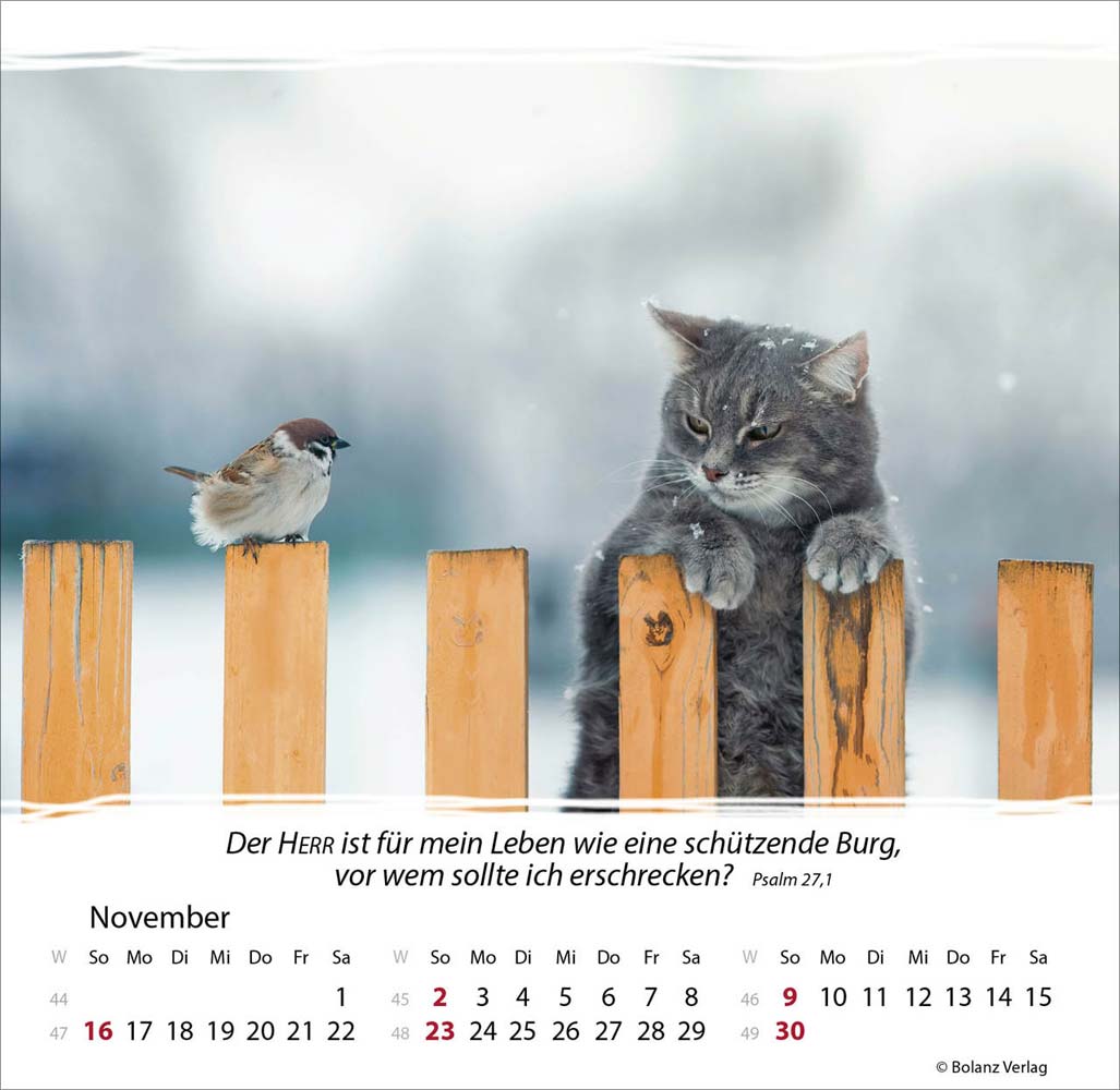 Meine Zeit 2025 - Verteilkalender