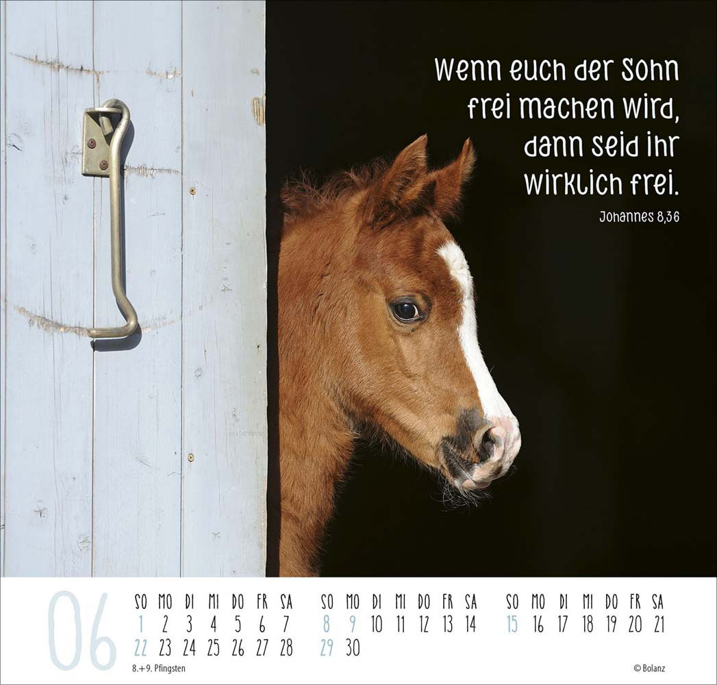 Beste Freunde - Ich mag dich  2025 - Posterkalender