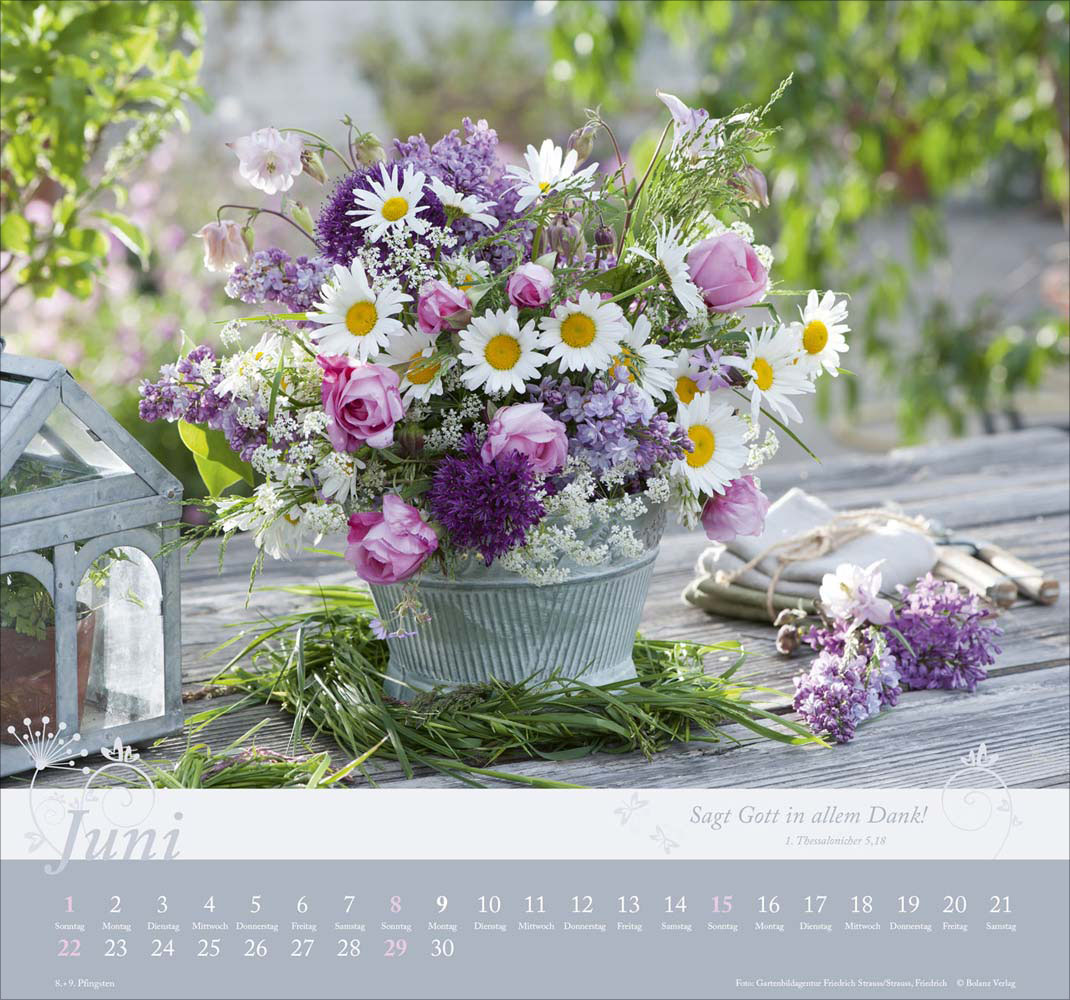 Im Garten zuhause 2025 - Wandkalender