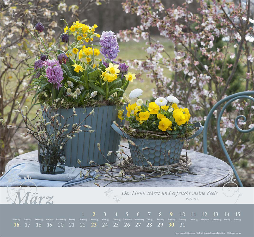 Im Garten zuhause 2025 - Wandkalender