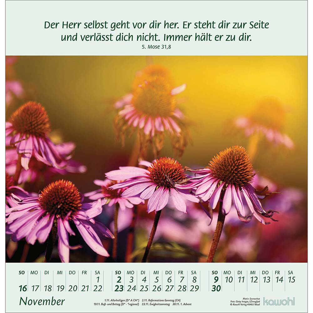 Blumengrüße 2025 - Wandkalender