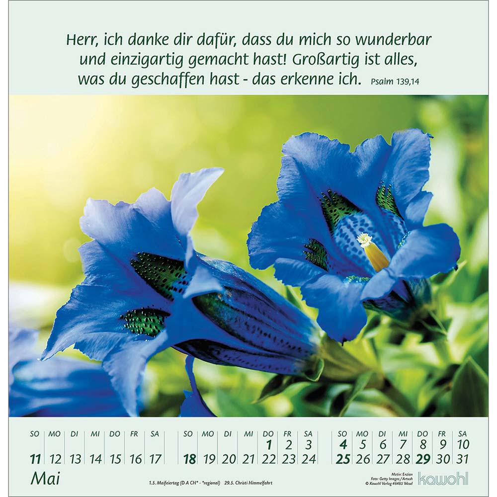 Blumengrüße 2025 - Wandkalender