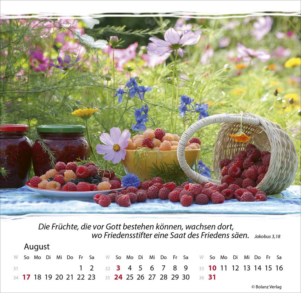 Meine Zeit 2025 - Verteilkalender