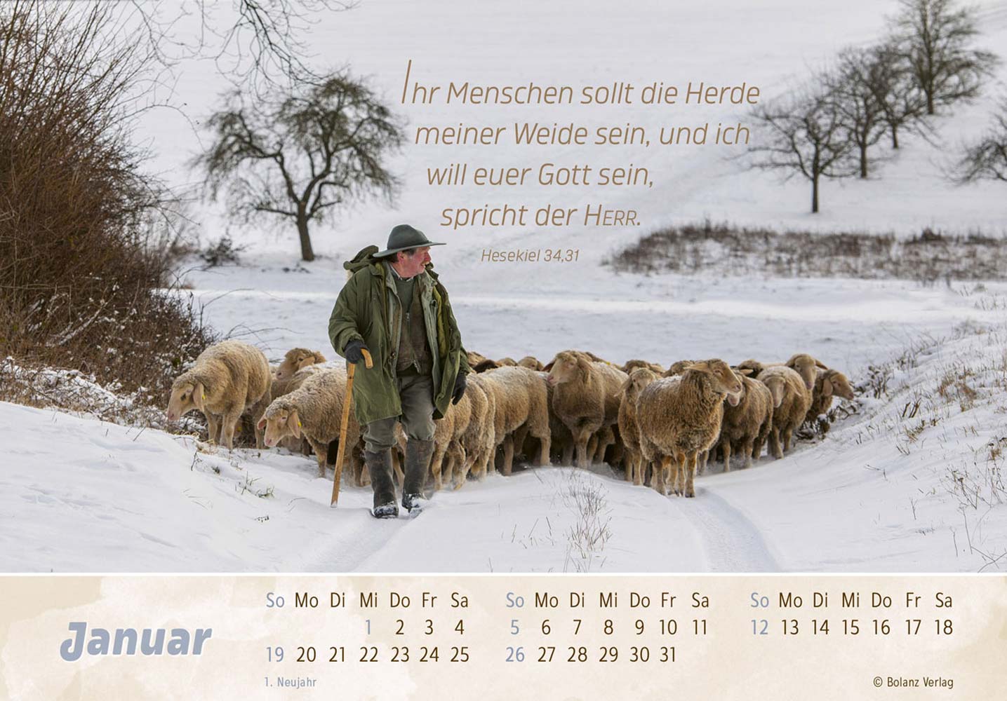 Der Gute Hirte 2025 - Postkartenkalender