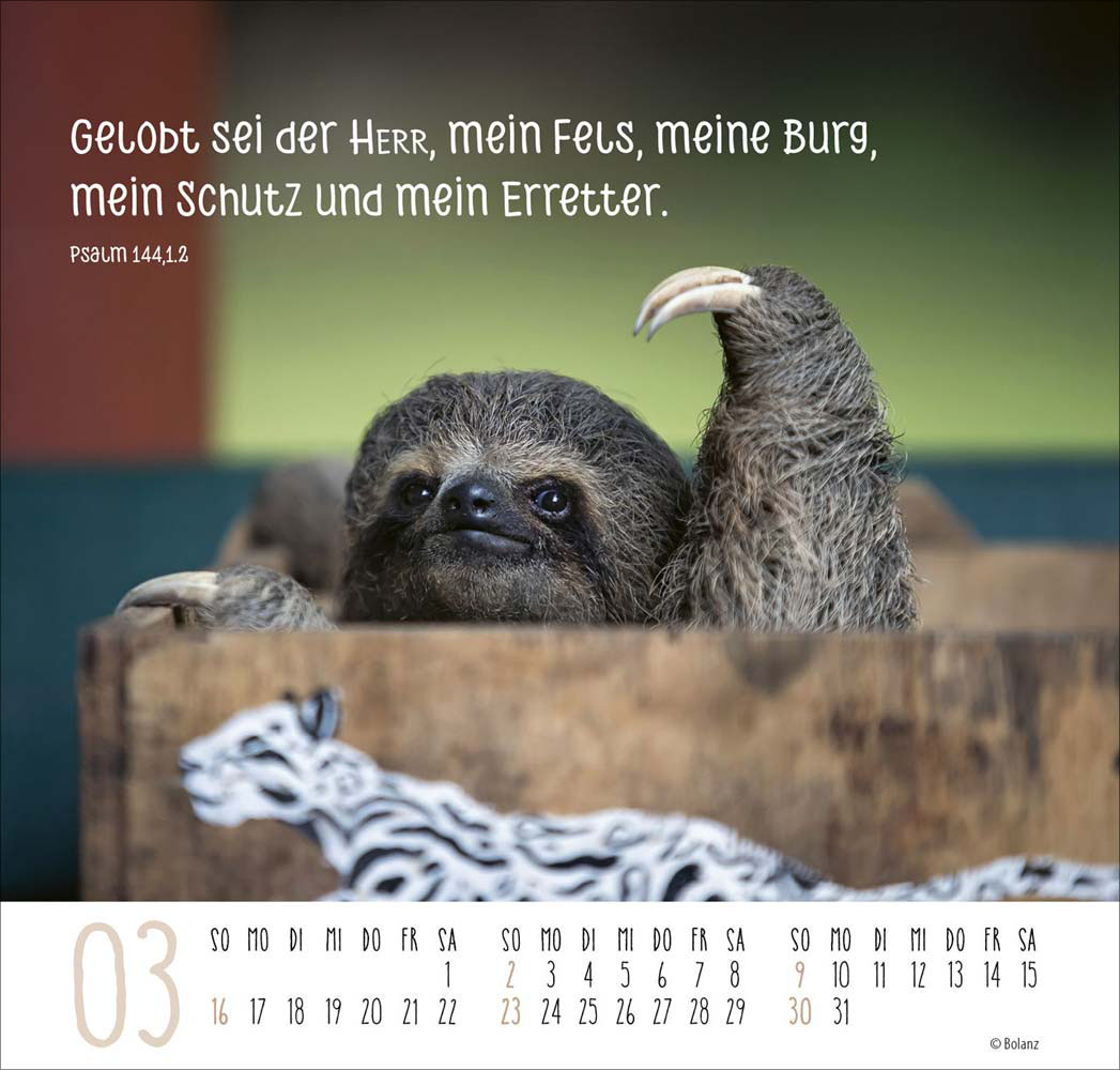 Beste Freunde - Ich mag dich  2025 - Posterkalender