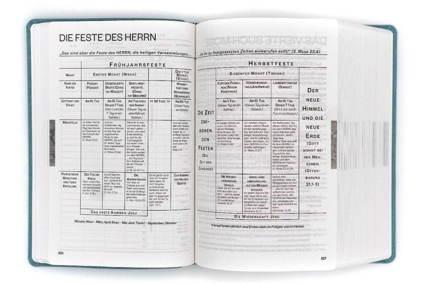 Die Neue Induktive Studienbibel - NISB (Schlachter 2000)