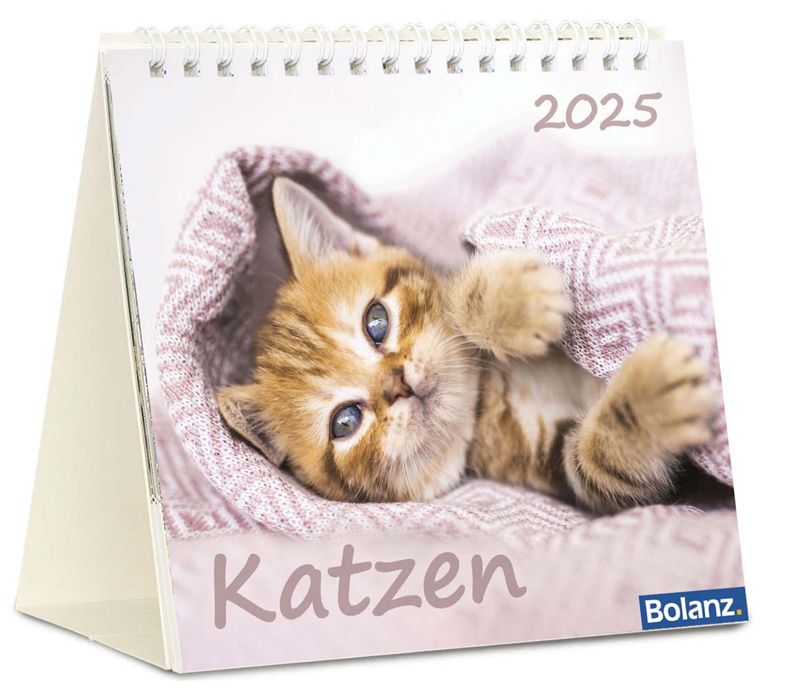 Katzen 2025 - Tischkalender