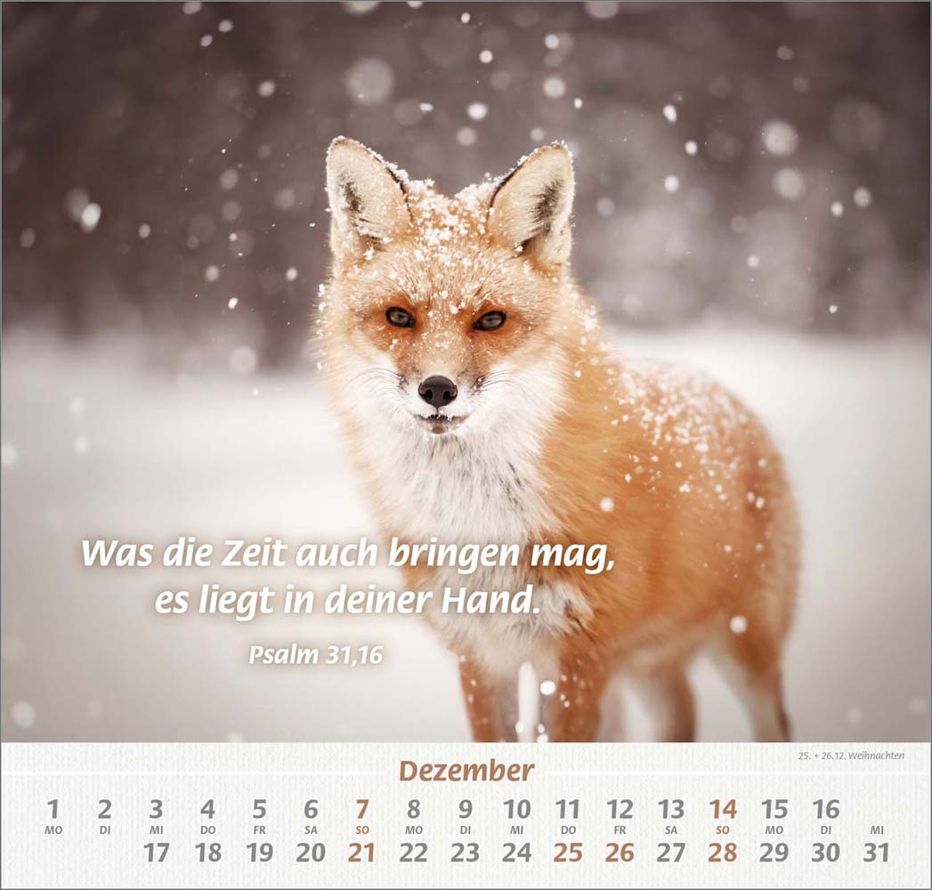 Ich hab dich gern 2025 - Wandkalender