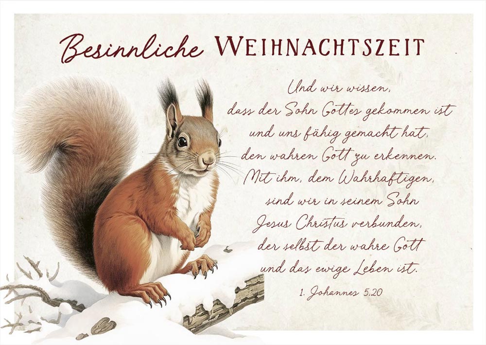 Postkarte "Warum Jesus auf die Welt kam"