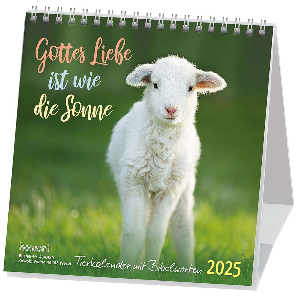 Gottes Liebe ist wie die Sonne 2025 - Postkartenkalender