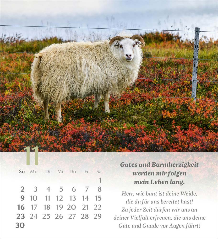 Psalm 23 - Tischkalender 2025